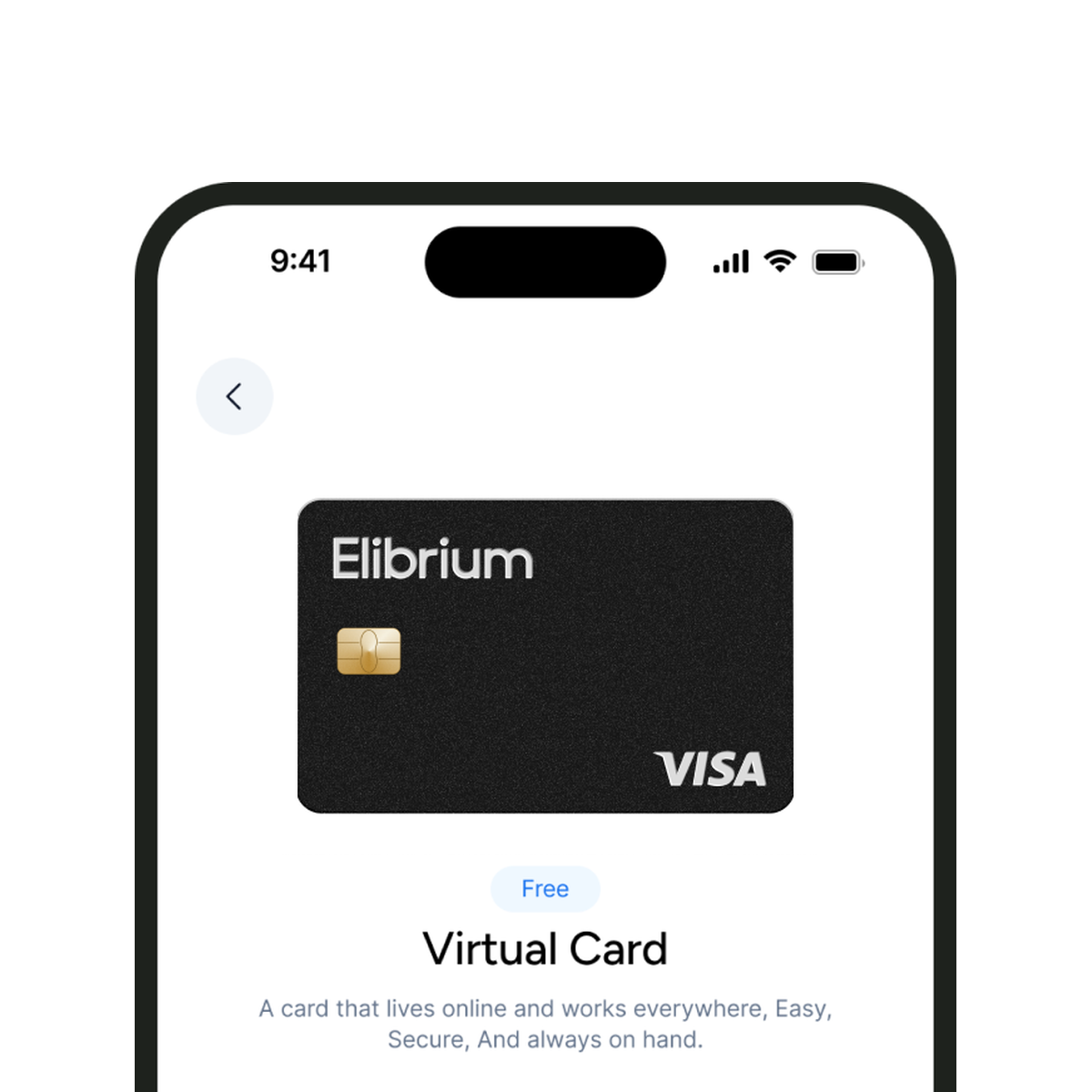 Elibrium Visa card issued through the API for a platform business